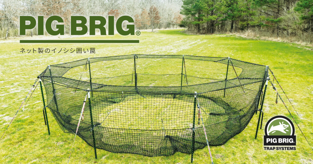 Pig Brig